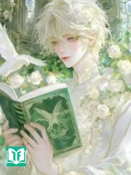 Anh Ấy Dưới Ánh Nắng Gay Gắt