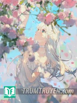 Bách Chu