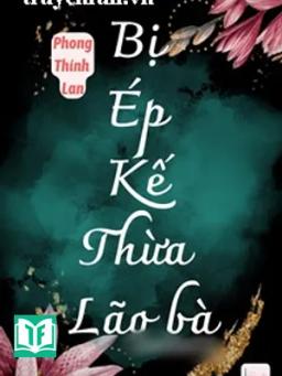 Bị Ép Kế Thừa Lão Bà