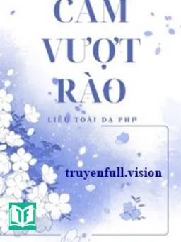 Cấm Vượt Rào - Liễu Toái Dạ Phi
