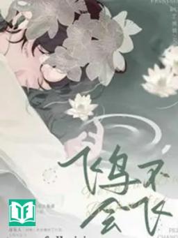 Chim Không Thể Bay - Độc Trù