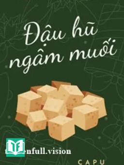 Đậu Hũ Ngâm Muối - Lưu Thủy Thủy