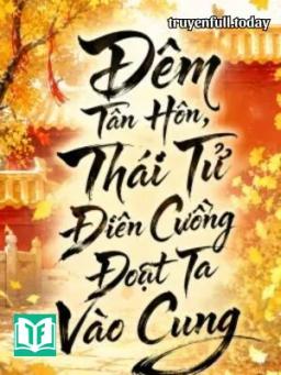 Đêm Tân Hôn, Thái Tử Điên Cuồng Đoạt Ta Vào Cung
