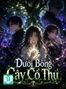 Dưới Bóng Cây Cổ Thụ