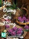 Hải Đường Cựu Mộng