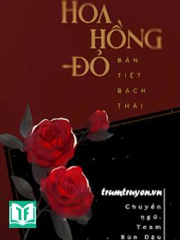 Hoa Hồng Đỏ - Bán Tiệt Bạch Thái