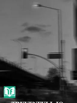 Hôm Nào Cũng Muốn Trộm Nhóc Con Omega