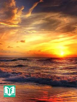 Hồng Lâu Chi Thứ Tử Giả Hoàn Truyện