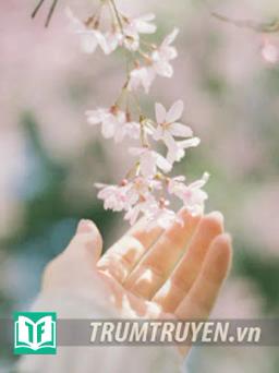 Mười Năm Sau Khi Tôi Mất