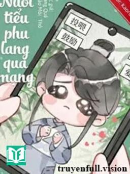 Nuôi Tiểu Phu Lang Qua Mạng