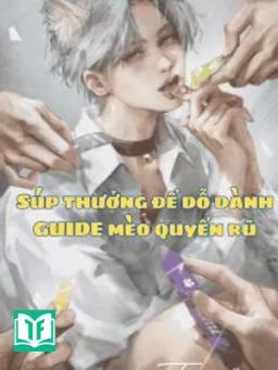 Súp Thưởng Để Dỗ Dành Guide Mèo Quyến Rũ