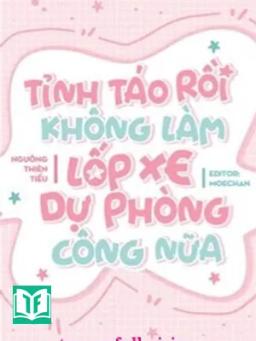 Tỉnh Táo Rồi Không Làm Lốp Xe Dự Phòng Công Nữa!