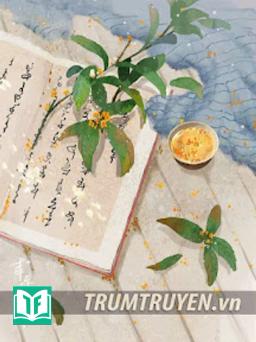 Tương Tư Không Biệt Ly