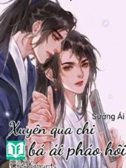 Xuyên Qua Chi Bá Ái Pháo Hôi