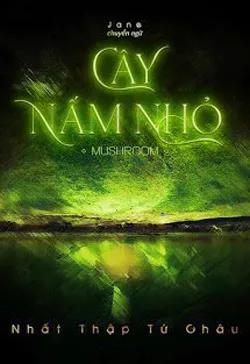 Cây Nấm Nhỏ
