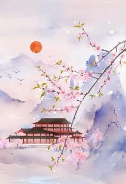 Chăn Gấm Rực Rỡ Thay