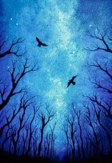 Mười Lăm Năm Chờ Đợi Chim Di Trú