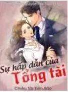 Sự Hấp Dẫn Của Tổng Tài