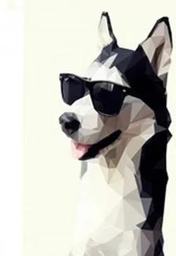 Tháng Ngày Giữ Mạng Bên Người Husky