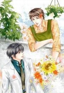 Thế Giới Chi Giá