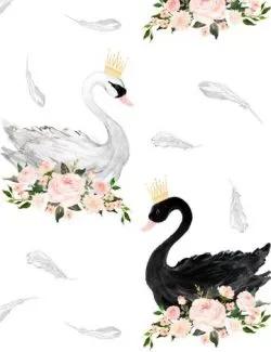 Thiên Nga Trắng Và Ông Xã Tâm Cơ Của Cậu Ấy