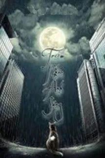 Trộm Nhìn Ánh Sáng