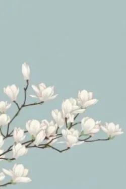 Xuân Dã - Xảo Khắc Lực A Hoa Điềm